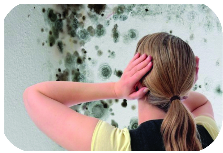 Mold Infestations are all too common in Florida.  Due to rain, flooding, strong storms and even humudity coming from insdie the home, mold can seem to appear practically anywhere and at any time.  The worst part is not the unsightly dark spots that accumulate over your walls and ceiling...it's the after effects to your personal health.  If you believe you have mold, there is aprofessional remediation process that can be very costly.  Call Citizens Claims Consultants so that we may guide you in the right direction for your claims as well as the necessary steps to ensure that you are rid of the mold.
